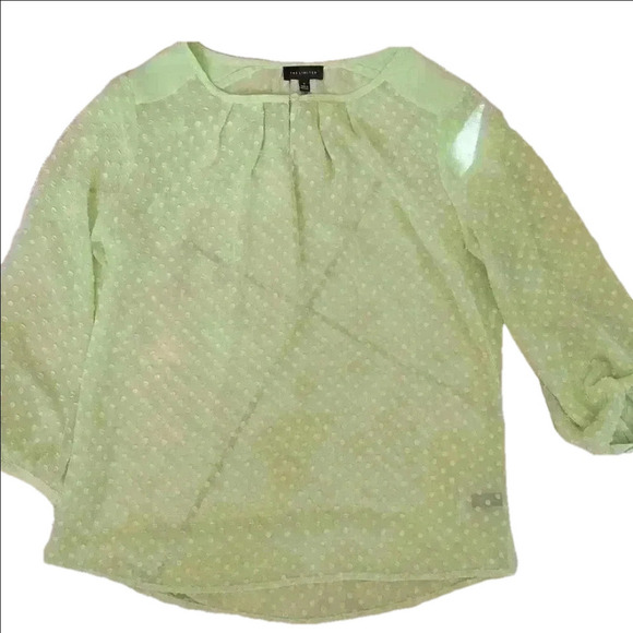 The Limited Tops - 🌻The Limited Polka Dot Sheer Shirt Green/Mint Black